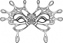 Butterfly Mask