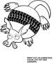 Armadillo Roadkill Coaster