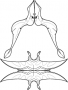 Rhamphorhynchus