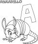 Armadillo ABC